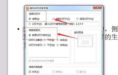 PowerPoint Viewerword文件如何转换？word文件转换方法图文介绍
