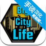 大城市的生活模拟器