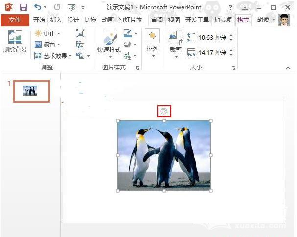 ppt2013怎么进行斜向裁剪图片?实现斜向裁剪图片教程分享