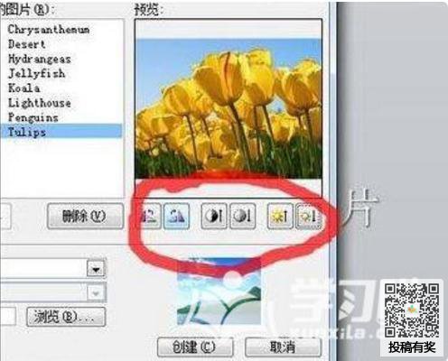 ppt批量一次导入多张图片怎么操作?批量导入图片流程介绍 ppt批量一次导入多张图片怎么操作?批量导入图片流程介绍