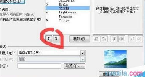 ppt批量一次导入多张图片怎么操作?批量导入图片流程介绍 ppt批量一次导入多张图片怎么操作?批量导入图片流程介绍