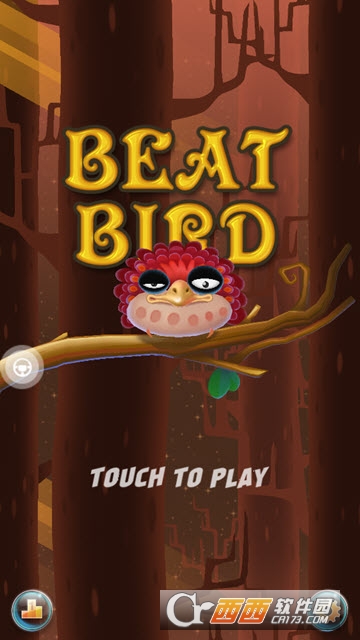 打怪鸟Beat Bird 打怪鸟Beat Bird