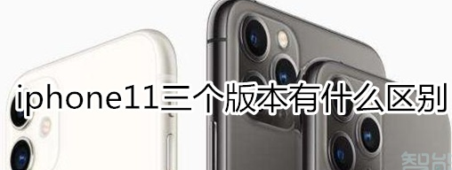 iphone11三个版本有哪些区别？三款手机详情解析