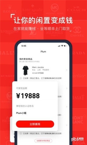 红布林plum 红布林plum