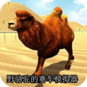 野骆驼的赛车模拟器游戏