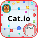 猫球v1.0