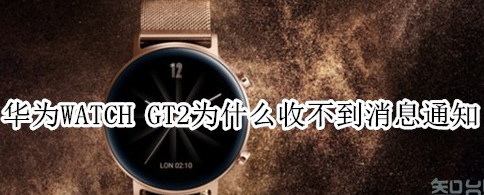 1574758161626831.png 华为WATCH GT2收不到消息通知怎么办?收不到消息通知处理方法介绍