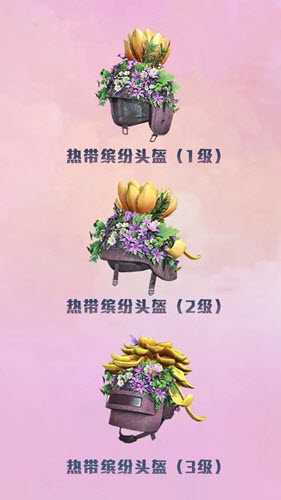 和平精英热带缤纷头盔如何获取?热带缤纷头盔获取方法介绍