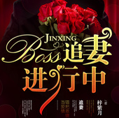 boss追妻进行中