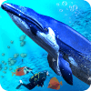 蓝色 鲸 海洋 模拟器