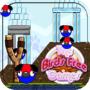 鸟免费游戏