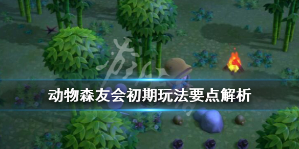 集合啦动物森友会初期怎么玩？