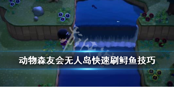 集合啦动物森友会怎么快速刷鲟鱼？