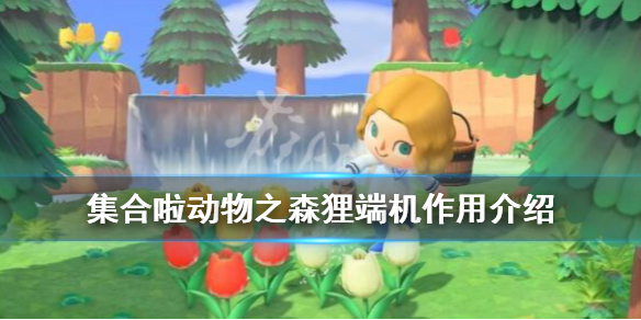 动物森友会狸端机有什么作用