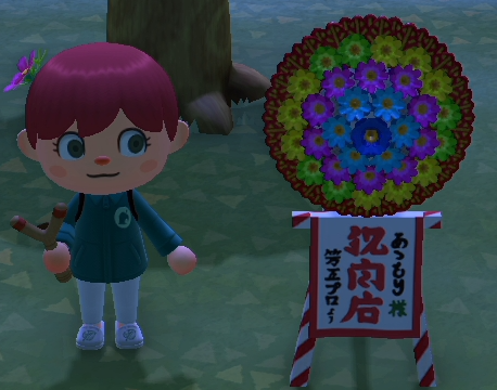 动物森友会花圈怎么得？