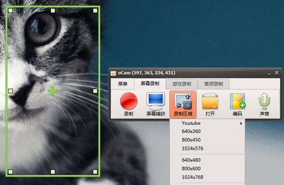 oCam录视频怎么操作？
