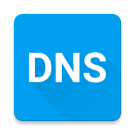 Pure DNS（智能解析）