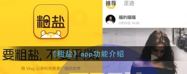 粗盐app怎么使用？