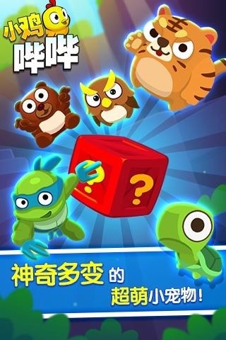 小鸡护卫队宠物怎么选？