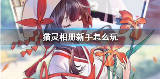 猫灵相册萌新如何才能快速上手