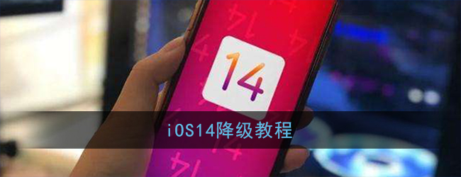 ios14怎么降回原系统