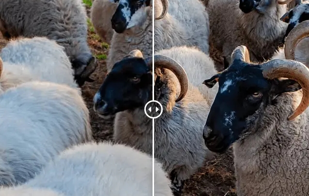 Topaz Video分辨率转换工具1