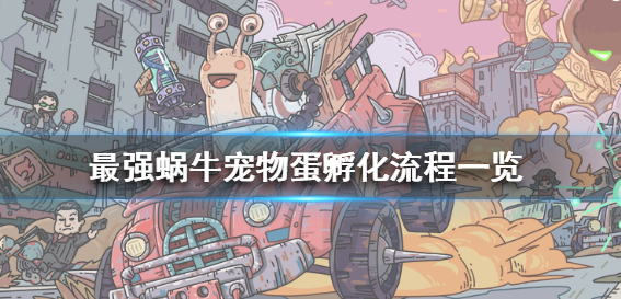 最强蜗牛宠物蛋怎么孵化