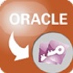Access转Oracle工具(AccessToOracle)