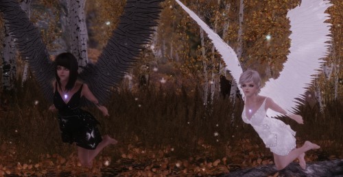 上古卷轴5：天际(The Elder Scrolls V: Skyrim)》最新MOD 誓死追随你的性感妖精