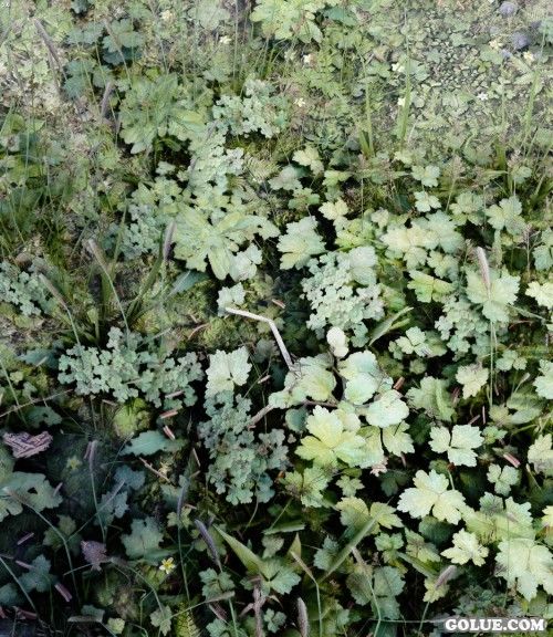 《上古卷轴5:天际》美图欣赏 面画实在是太美！