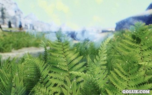 《上古卷轴5:天际》美图欣赏 面画实在是太美！