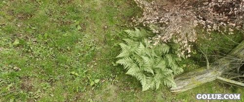 《上古卷轴5:天际》美图欣赏 面画实在是太美！