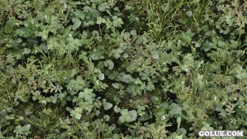 《上古卷轴5:天际》美图欣赏 面画实在是太美！