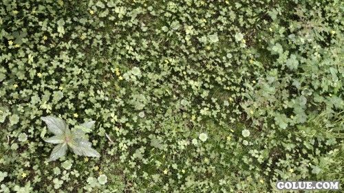 《上古卷轴5:天际》美图欣赏 面画实在是太美！