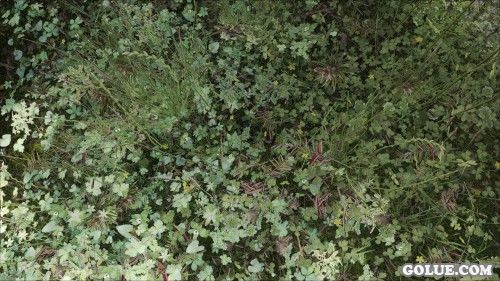 《上古卷轴5:天际》美图欣赏 面画实在是太美！