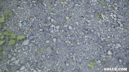 《上古卷轴5:天际》美图欣赏 面画实在是太美！