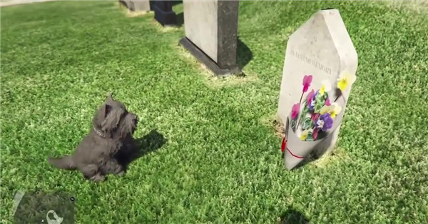 《血源》含笑半步癫BUG 酷炫狂拽抽搐舞步