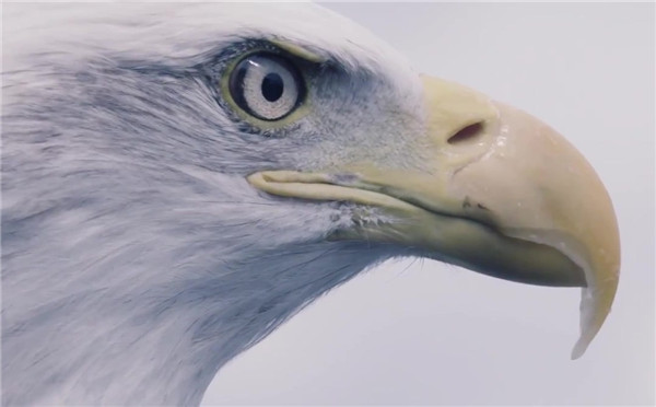 《刺客信条:枭雄》创意宣传片：鹰眼视角下的伦敦