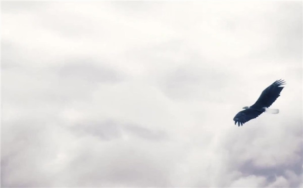 《刺客信条:枭雄》创意宣传片：鹰眼视角下的伦敦