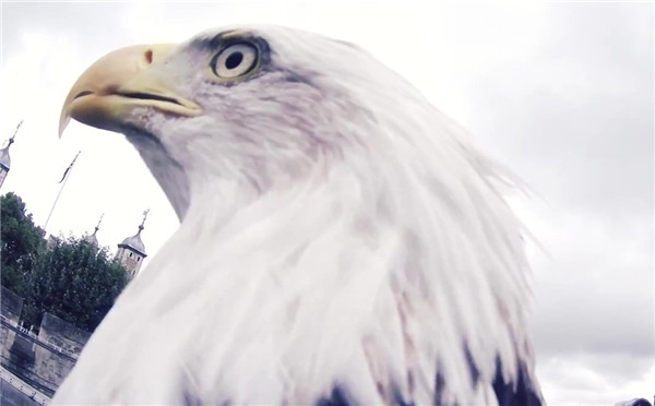 《刺客信条:枭雄》创意宣传片：鹰眼视角下的伦敦