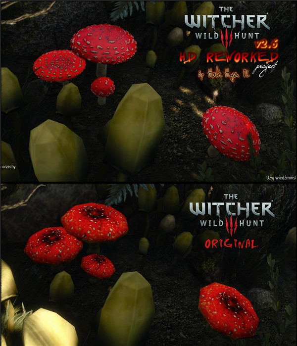 《巫师3:狂猎》最新更新将呈现更逼真毒蘑菇