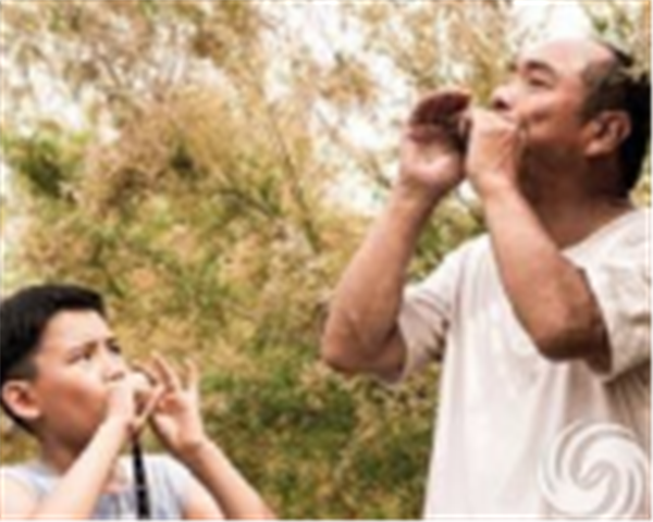 《百鸟朝凤》上座率逆袭《美国队长3》 一票难求