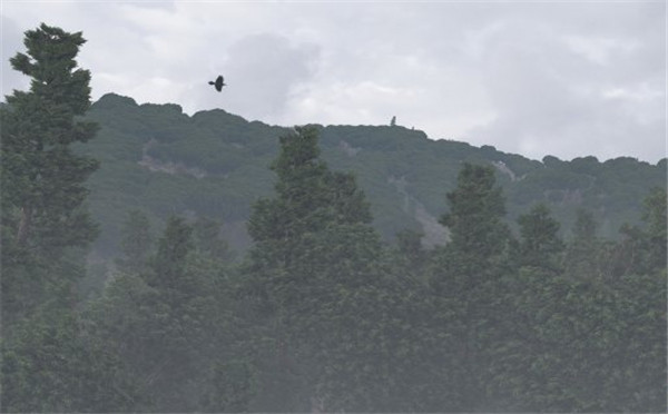 虚幻4制作的风景图 画面逼真出乎您的意料