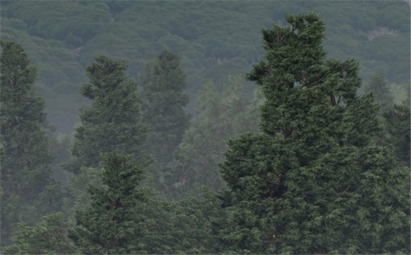 虚幻4制作的风景图 画面逼真出乎您的意料