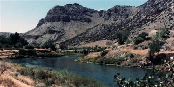 玩《精灵宝可梦:GO》时竟意外发现男尸 吓坏宝宝啦