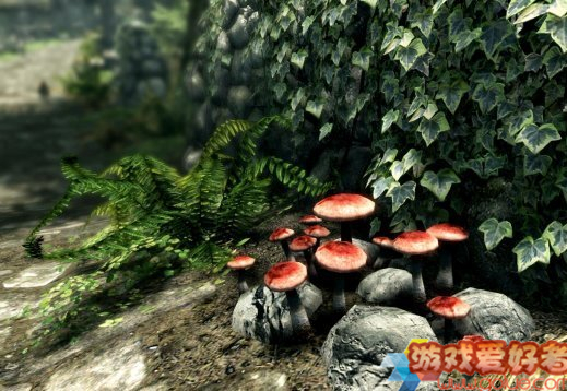 官方正式确认:《上古卷轴5天际》重制版不增新内容