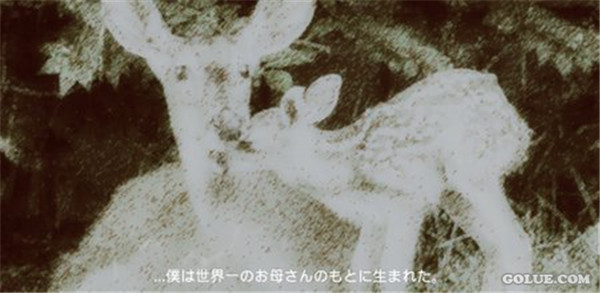 养成手游《鹿的一生》最新截图 婴儿鹿大逃荒