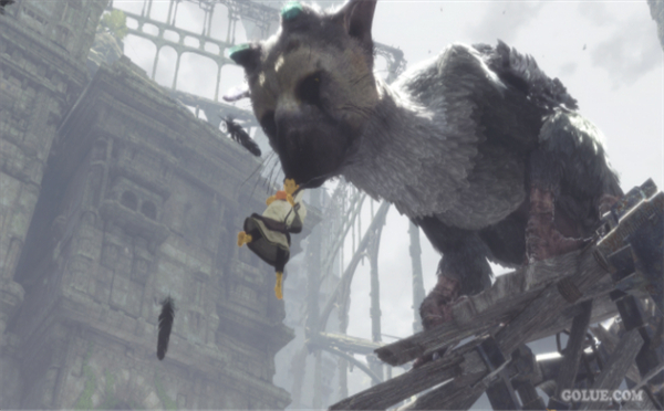 《最后的守护者》分级和描述已公布 男主和怪兽结伴出击