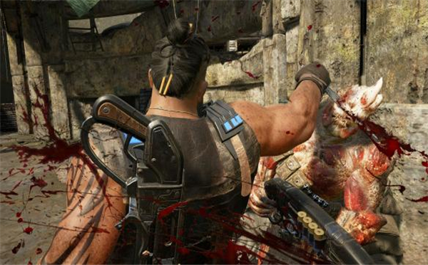 《战争机器4》剧情战斗通关心得