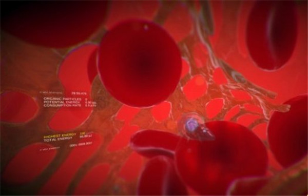 冒险游戏《Viva Ex Vivo》VR版袭来 蛔虫视角忒奥妙